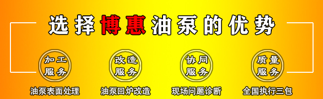 3GBW保溫三螺桿瀝青泵(圖7) 3GBW保溫三螺桿瀝青泵(圖7)